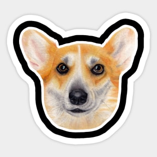 Corgi face Sticker